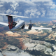 A plane flying high in the sky in Microsoft Flight Sim.